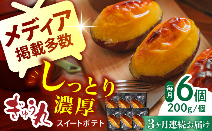 
                  【3回定期便】スイートポテトセット【ぎゅう丸】 [NCQ122] 人気  スイーツ  菓子 スイートポテト
                