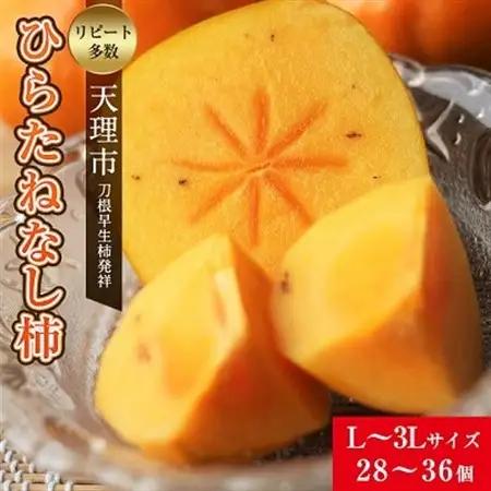 【R8年10月以降発送】刀根早生柿発祥の地・天理市のひらたねなし柿(L～3Lサイズ、28～36個)_柿 かき 種なし柿 フルーツ くだもの 果物 人気 おすすめ 送料無料 贈答 ギフト プレゼント 刀根 早生柿 奈良県 天理市_【配送不可地域：離島】【1070571】