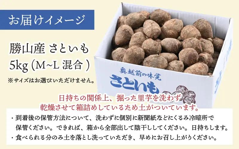 里芋 令和8年産 かつやま里芋 5kg 先行予約 [A-005013]