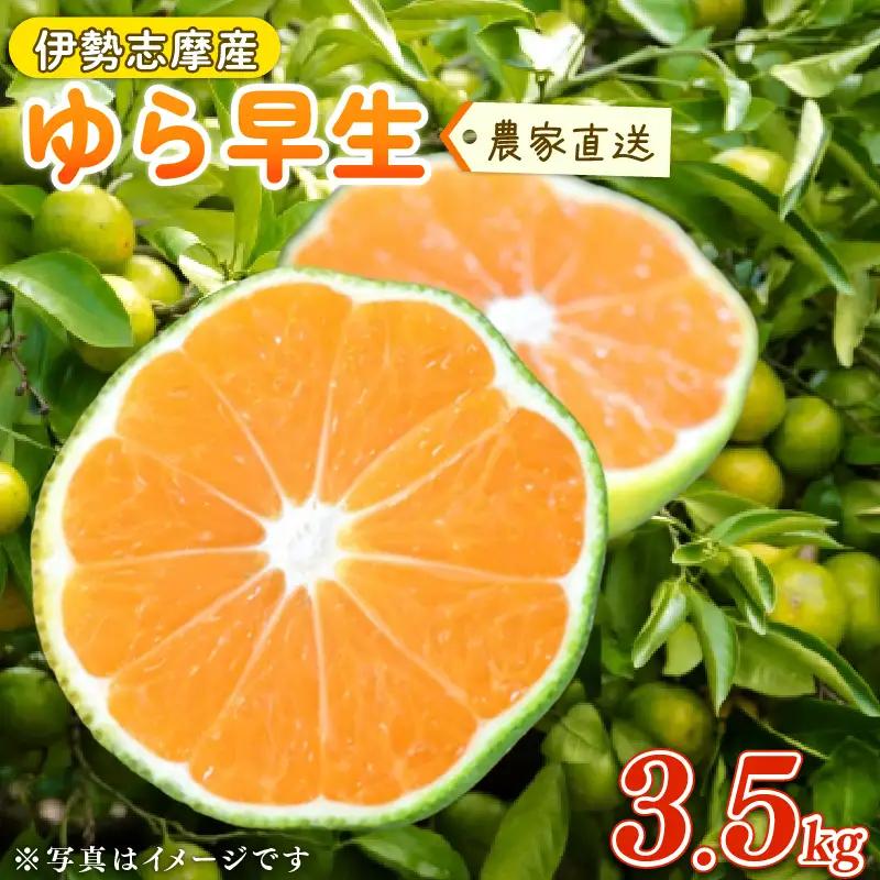 【2026年10月中旬～発送】 ゆら早生みかん 3.5kg ※先行受付【tmkn_005】