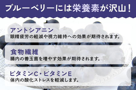 冷凍ブルーベリー 1.5kg ブルーベリー 冷凍 フルーツ 果物 くだもの 冷凍フルーツ 冷凍果物 完熟 新鮮 目にいい 健康 美容 人気 ギフト 贈り物 プレゼント 茨城県産 55-F