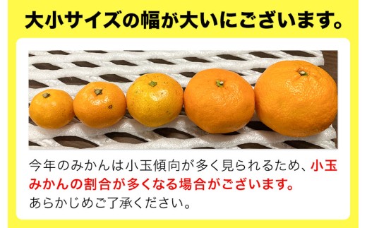 訳あり みかん (3S～3L) 約1.5kg《10月上旬‐12月下旬頃に発送(土日祝を除く)》和歌山県 日高町 果物 フルーツ 訳あり みかん 家庭用 お試し 大容量 送料無料