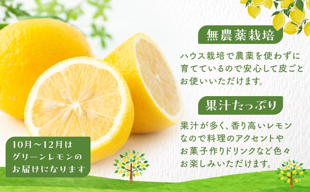 【20箱限定】皮まで美味しい無農薬レモン 約3kg【瀬戸田 瀬戸田レモン 檸檬 瀬戸内レモン フルーツ 柑橘 シトラス 無農薬 有機肥料 防腐剤不使用 レモネード はちみつ 尾道市 広島】