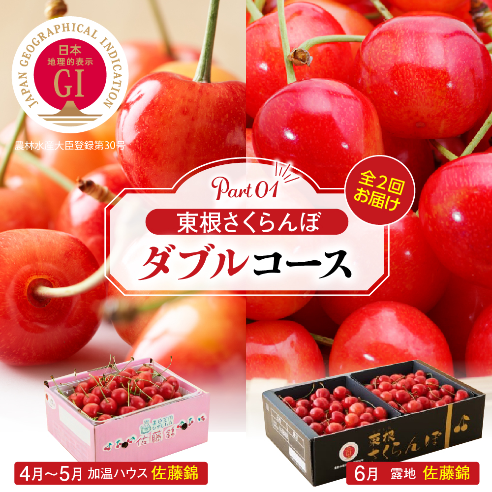 【2026年産 先行予約】東根さくらんぼ ダブルコース （佐藤錦加温500g、佐藤錦露地900g） 山形県 東根市 hi001-044