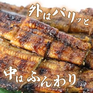 鰻 蒲焼 大姿焼き 2尾 140g×2 【全3回定期便】鰻
