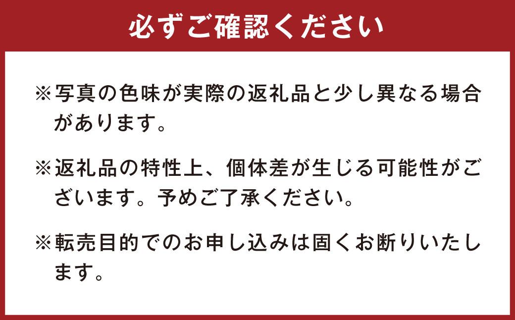 ともだちはくま ぬいぐるみ（おかしながっこう） 1点
