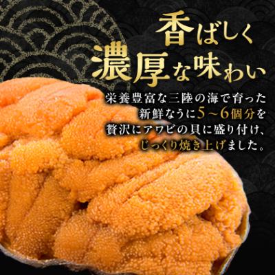 ふるさと納税 宮古市 【三陸宮古産】無添加焼うに食べ比べセット4個入り |  | 01