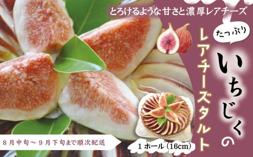 【 早期受付 数量限定 】 いちじく たっぷりの レアチーズ タルト 冷凍 国産 おすすめ ケーキ フルーツ 果物 無花果 イチジク チーズケーキ 洋菓子 高知 四万十 しまんと お取り寄せ 限定 先行 予約 スイーツ デザート 2025年8月中旬～9月下旬配送 25-422