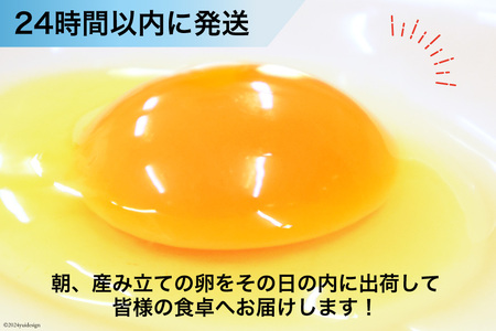 BI047 6回 定期便 どっさり！ 雲仙たまごLサイズ 160個(150個＋割れ補償10個入り)