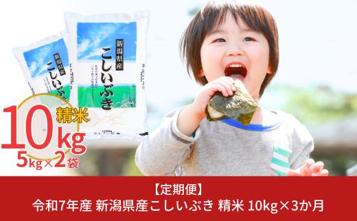 新米 [定期便10kg×3ヶ月] 新潟県産こしいぶき 計30kg 令和7年産 3か月連続でお届け [株式会社白熊]【031S004】