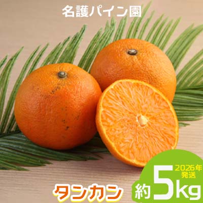 【ふるさと納税】2026年発送【名護パイン園】　タンカン約5kg 先行予約 フルーツ 青果 期間限定 年末 数量限定 みかん 柑橘 沖縄 おきなわ 果実 ギフト 贈り物 子供 デザート 取り寄せ 旬 人気 おすすめ 贈答 プレゼント