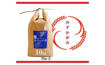 【令和6年産 特別栽培 近江米『みずかがみ』10kg(5kg×2)】米 近江米 みずかがみ ブランド米 滋賀県 竜王