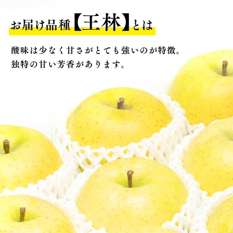 【12月発送】親子三代最高位の贈答用サンふじ・王林約10kg【全国ふじコンテスト最高賞受賞農園・平川市広船産りんご】