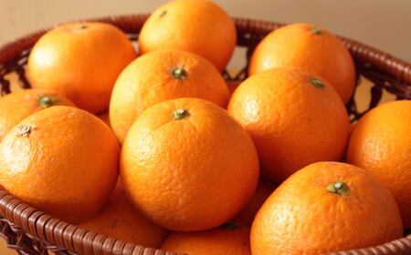 【先行予約】【濃厚】有田産清見オレンジ約5kg（サイズおまかせ 青秀以上）　※2027年2月中旬～2027年3月中旬頃発送予定（お届け日指定不可）/ みかん 果物 くだもの フルーツ 柑橘 オレンジ 