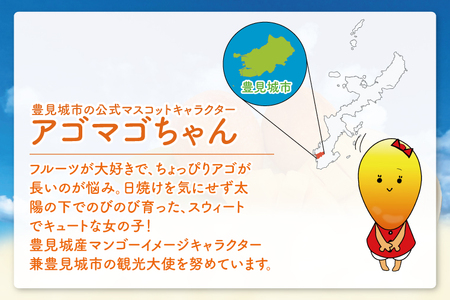 アゴマゴちゃんグッズ詰合せ｜アゴマゴちゃん ご当地キャラ キャラクター グッズ 缶バッチ ポーチ バッグ トートバッグ ポストカード セット 沖縄 おきなわ 豊見城市(BQ005)