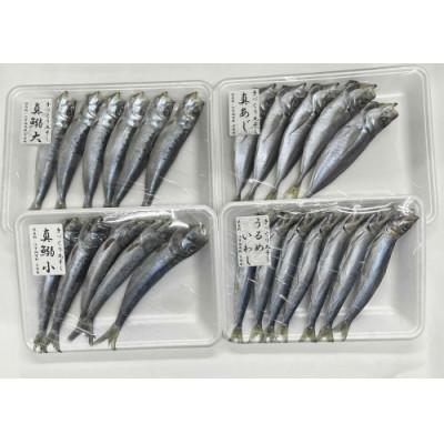 ふるさと納税 中間市 程よい塩加減 アジとイワシ干物セットB(中間市) |  | 03