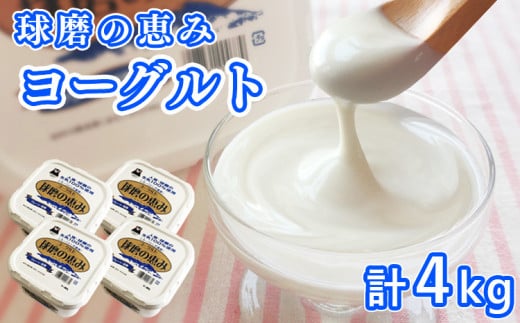 とろ～り食感!!球磨の恵みヨーグルト 加糖タイプ 1kg×4パック
