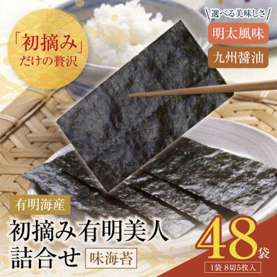 ふるさと納税 福智町 福岡有明のり 初摘み有明美人詰合せ(48袋)