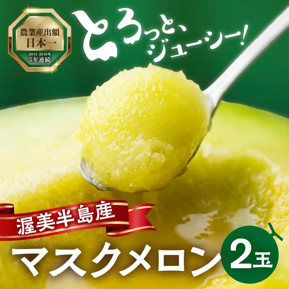【2027年6月中旬～発送】マスクメロン 2玉 メロン マルカベジフル 【先行予約】