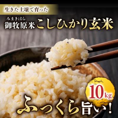 ふるさと納税 東御市 【先行受付2026年発送】長野県産!生きた土壌で育った御牧原米こしひかり 玄米(令和8年産)10kg