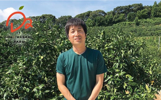 みかん 【先行予約】【酸っぱいから甘いへの変化】 極早生みかん （岩崎・上野）約5kg みかん ミカン 柑橘 西海みかん 早生みかん 贈答 ギフト みかん ＜Da・IWASAKI FARM＞ [CCZ