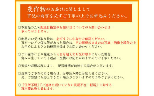 トマト好きにはたまらない！毎月30セット限定★トマト2種＆ジュースセット「フルティカ」「あまっこ」食べ比べ（各300g）と濃厚100％トマトジュース（720ml1本） トマト トマトジュース フルティカ あまっこ 食べ比べ フルーツトマト 野菜ジュース トマトストレート果汁 7000円