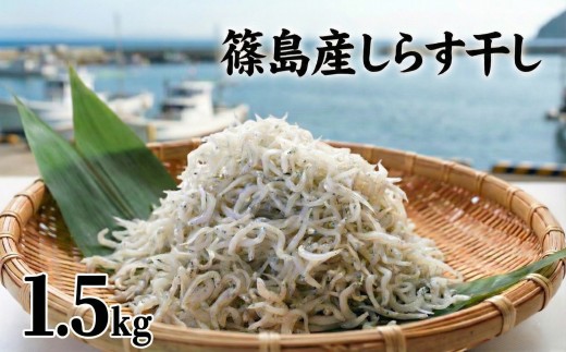【スピード発送】＜篠島産＞ 訳あり しらす干し1.5kg シラス 南知多産 愛知