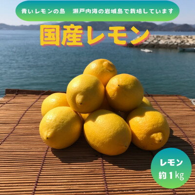 【ふるさと納税】【先行予約2026年1月発送～】青いレモンの島　国産レモン(イエロー)約1kg【1651410】