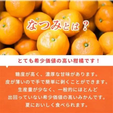 【2027年4月中旬より発送】初夏のみかん　なつみ5kg【日高町】【配送不可地域：離島】【1216978】