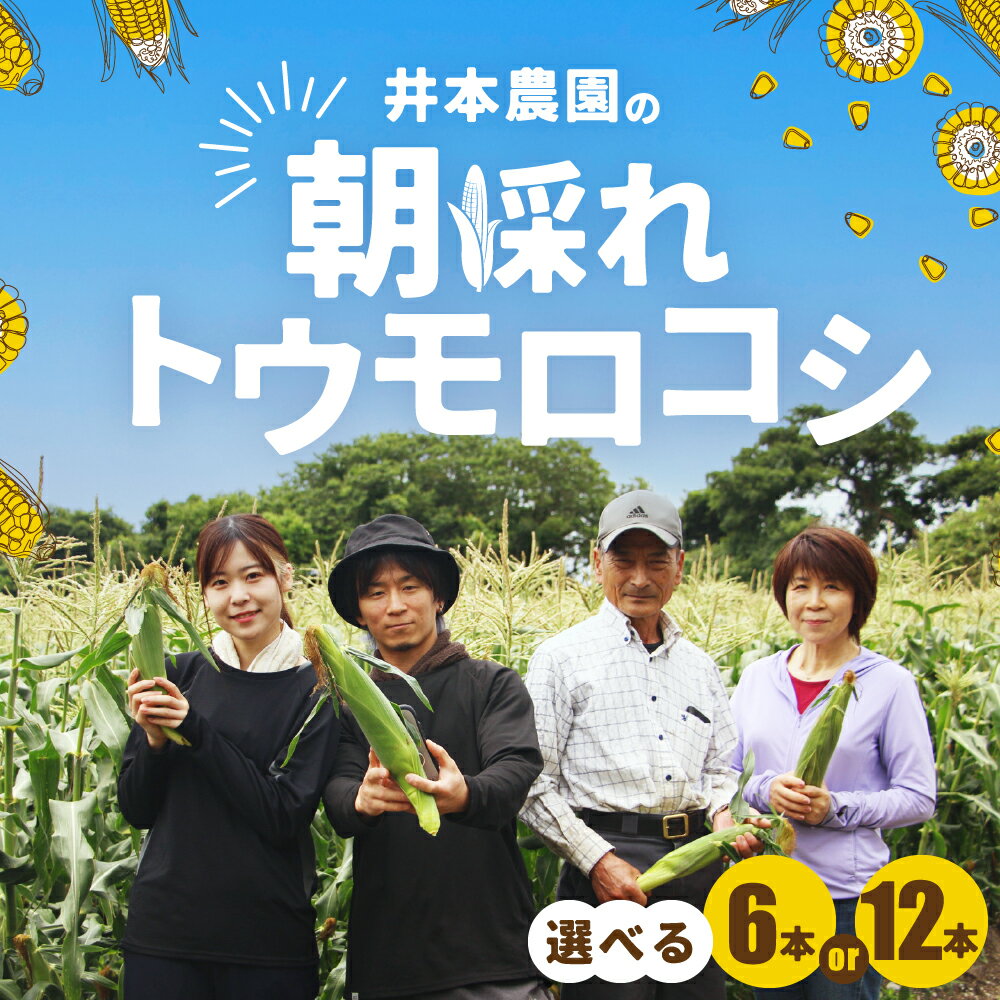 【ふるさと納税】【先行予約】井本農園の朝採れトウモロコシ 12本 とうもろこし デザート 農家直送 送料無料 朝採れ コーン 野菜 キャンプ BBQ バーベキュー おやつ 田原市 渥美半島 愛知県 夏 旬