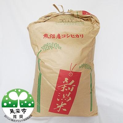 ふるさと納税 魚沼市 令和7年産　真砂屋厳選　魚沼産コシヒカリ 玄米　30kg