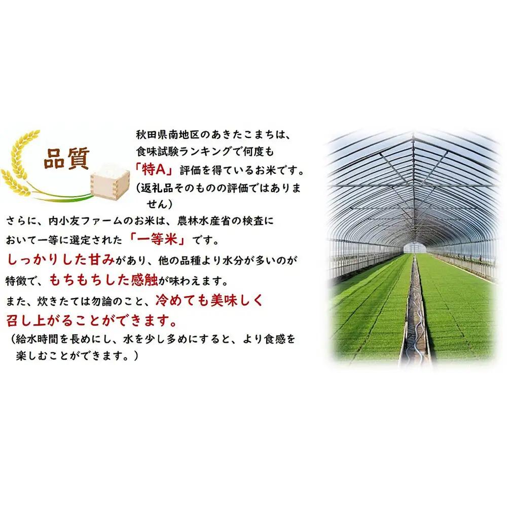 米 令和7年産 秋田県産あきたこまち 一等米 農家直送 無洗米5kg 内小友ファーム