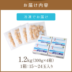 【ホタテ禁輸措置生産地緊急支援品】北海道オホーツク海産 ホタテ貝柱 1.2kg 生食用 ( 海鮮 魚介 魚介類 貝 貝類 帆立 ほたて お刺身 刺身 貝柱 海鮮丼 贈答 ギフト 小分け 帆立貝柱 人気