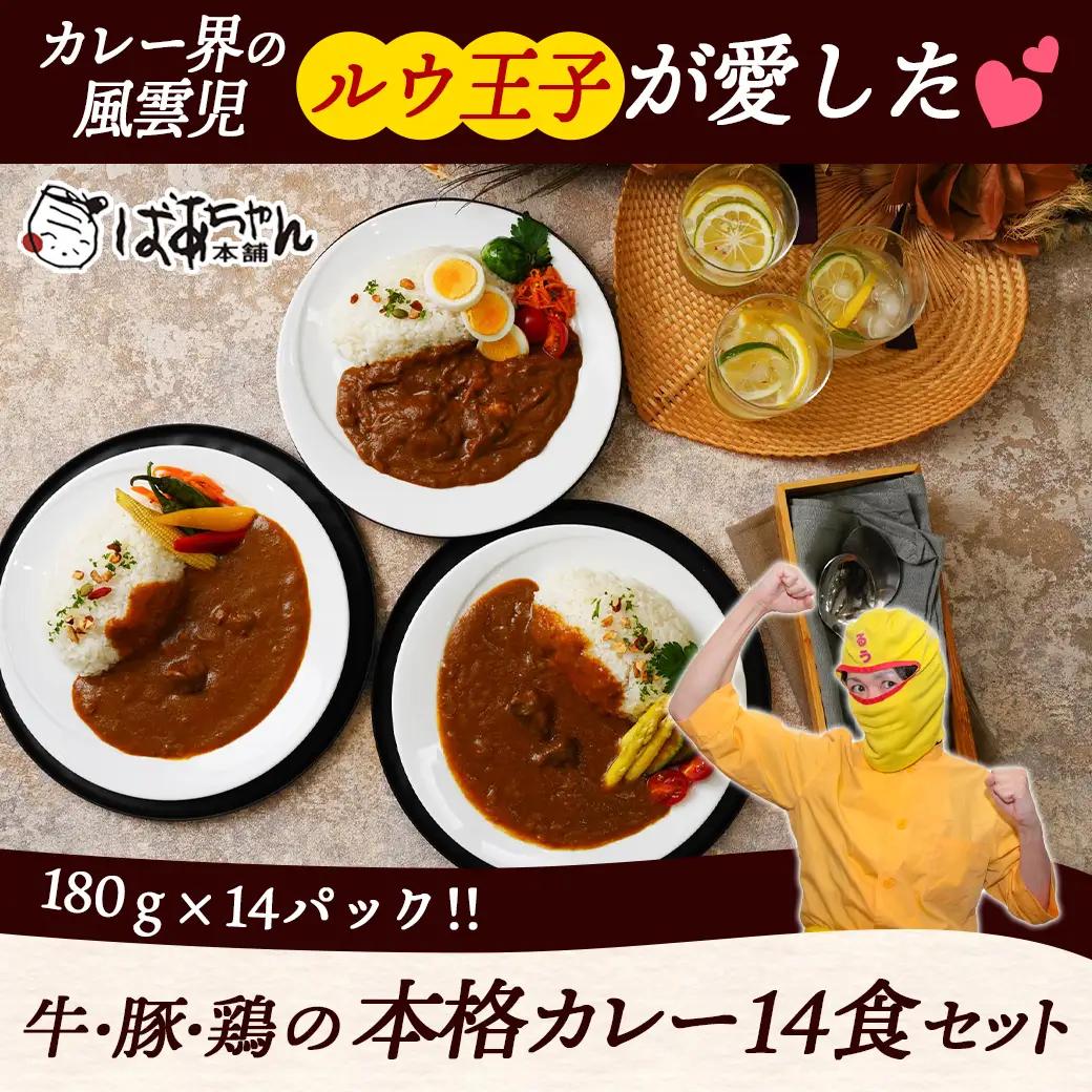 ルウ王子が愛した牛・豚・鶏の本格カレー14食セット〔MJ-1516〕_(都城市) ビーフカレー 5食 ポークカレー 5食 チキンカレー 4食 合計14食セット 1パックあたり180g 冷凍カレー