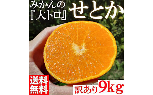 
                  せとか みかんの大トロ 約9kg 訳あり ブランド 和歌山 有田 みかん 農家直送 オレンジ フルーツ 果物
                