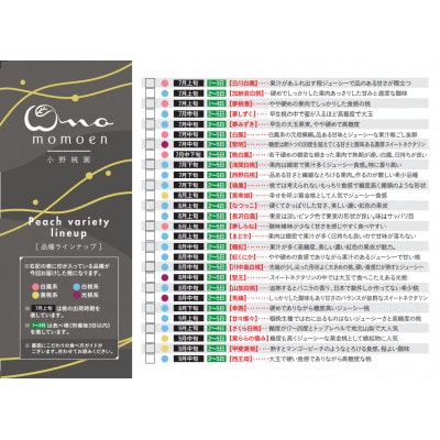 2027年発送先行受付【高糖度ばくだんネクタリン黎明】桃グランプリ日本一受賞＆5年連続TVで出演話題【配送不可地域：離島・北海道・沖縄県・中国・四国・九州】