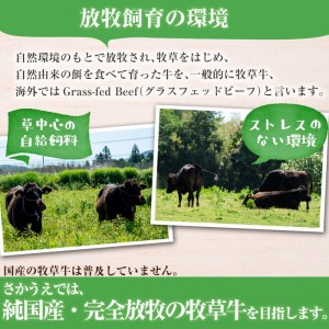 牧草育ちの里山牛 ローストビーフ用ブロック肉 計500g a9-009