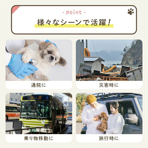 ペットキャリーリュック 〈ライズクリエイション atRise〉 ライトグレー ペットキャリーリュック ペットバッグ ペットリュック ペットキャリー リュック バッグ 猫 犬 いぬ ねこ イヌ ネコ 旅