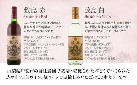【敷島 赤 ＆ 敷島 白 & 甲州小梅ワイン】720ml × 3本 セット 敷島醸造 白ワイン 赤ワイン わいん 小梅ワイン 辛口 ワインセット 飲み比べ 日本ワイン 国産ワイン 甲州 山梨 甲斐市 