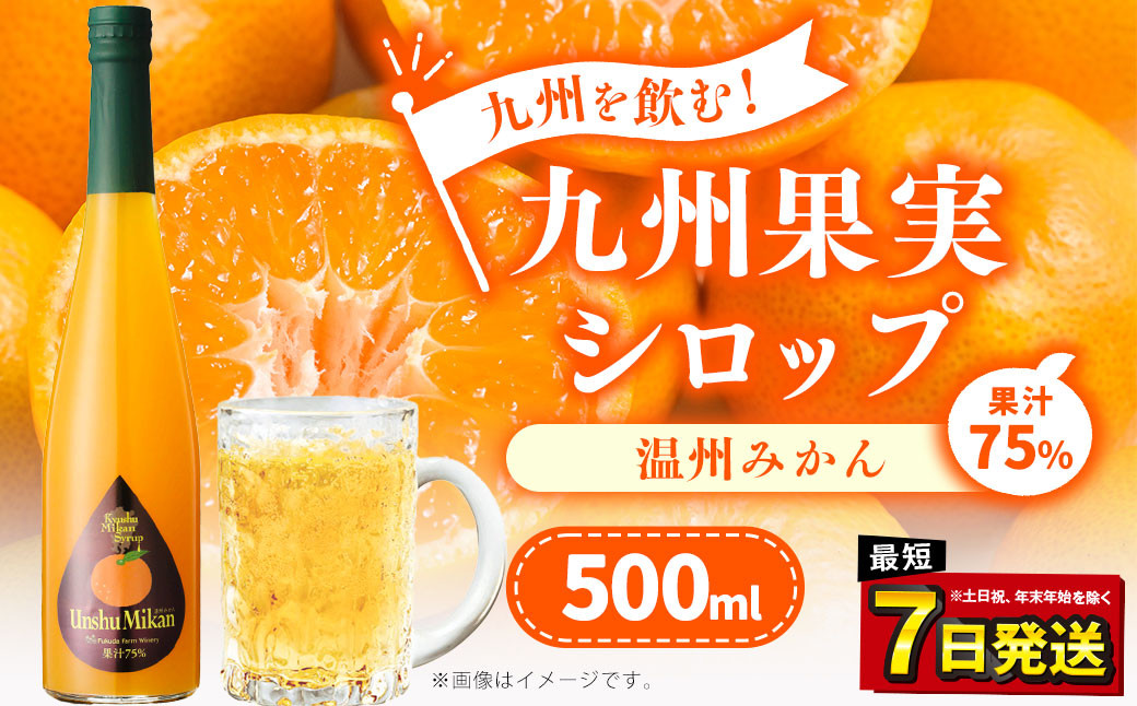 
九州を飲む！九州果実 シロップ 温州みかん 500ml 1本 約25杯分 フルーツ 果物 ジュース
