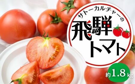 《先行予約》令和7年産 飛騨トマト 約1.8kg 産地直送 野菜 とまと トマト 麗月 夏野菜 やさい サトーカルチャー [Q2478_u]
