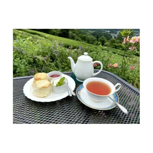新見産紅茶3箱（ティーバッグ2箱/アールグレイティーバッグ1箱）