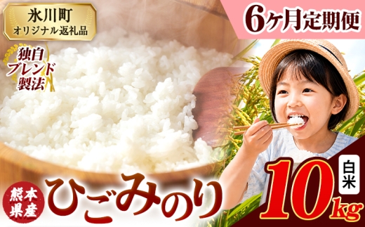 【6ヶ月定期便】ひごみのり 白米 熊本県産 ブレンド米 10kg 熊本県産 ふるさと納税  精米 米 こめ ふるさとのうぜい コメ お米 おこめ《お申込み翌月から出荷》