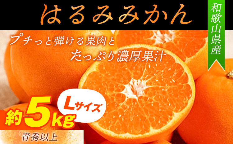 
                  【先行予約】【厳選・濃厚】紀州有田産のはるみ約5kg(Lサイズ)《2027年1月下旬-2月中旬出荷》和歌山県 日高町 みかん はるみ 厳選 柑橘 フルーツ 送料無料
                