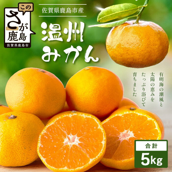 【ふるさと納税】温州みかん 5kg　有明海の潮風で育った鹿島産みかん フレッシュ 柑橘 果物 フルーツ オレンジ 注目 佐賀県鹿島市 人気 送料無料 B-841