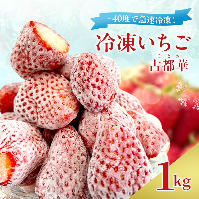 【ふるさと納税】-40度で急速冷凍！ 冷凍いちご 1kg ( 古都華 )