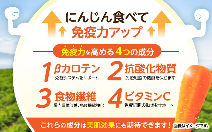 食品 やさい 野菜 サラダ 旬 甘い にんじん ニンジン 人参 キャロット きゃろっと 訳あり 訳アリ わけあり ワケアリ