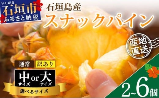 
            ＜先行予約＞石垣島産 スナックパイン＜2026年5月以降発送＞【通常・訳あり】【選べるサイズ】 SI-25〜SI-24
          