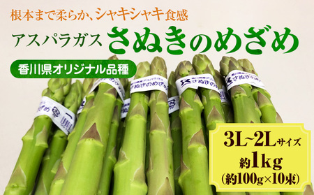 2027年初物予約！アスパラガス【さぬきのめざめ】3L・2Lサイズ1kg