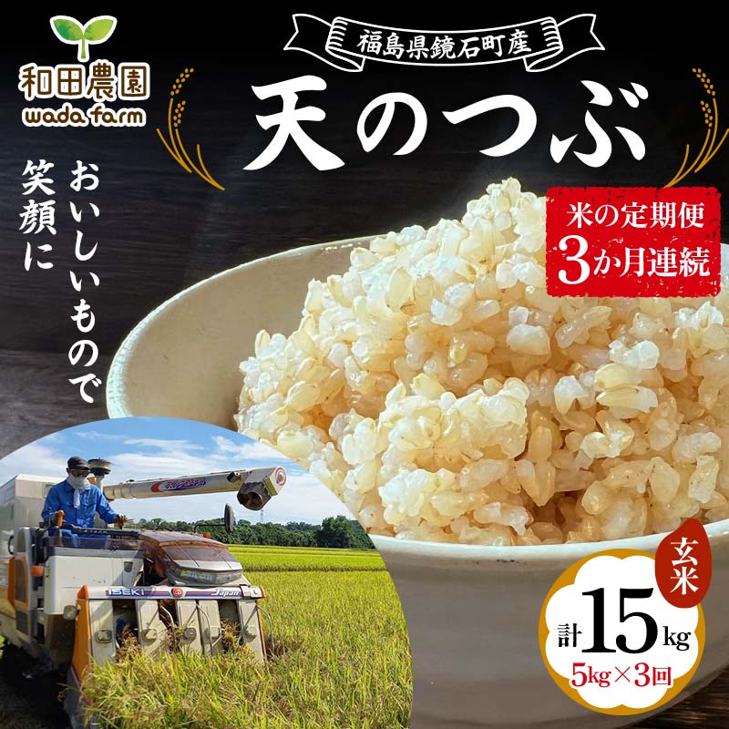 【米の定期便】福島県鏡石町産 和田農園「天のつぶ」玄米5kg 3か月連続 F6Q-203